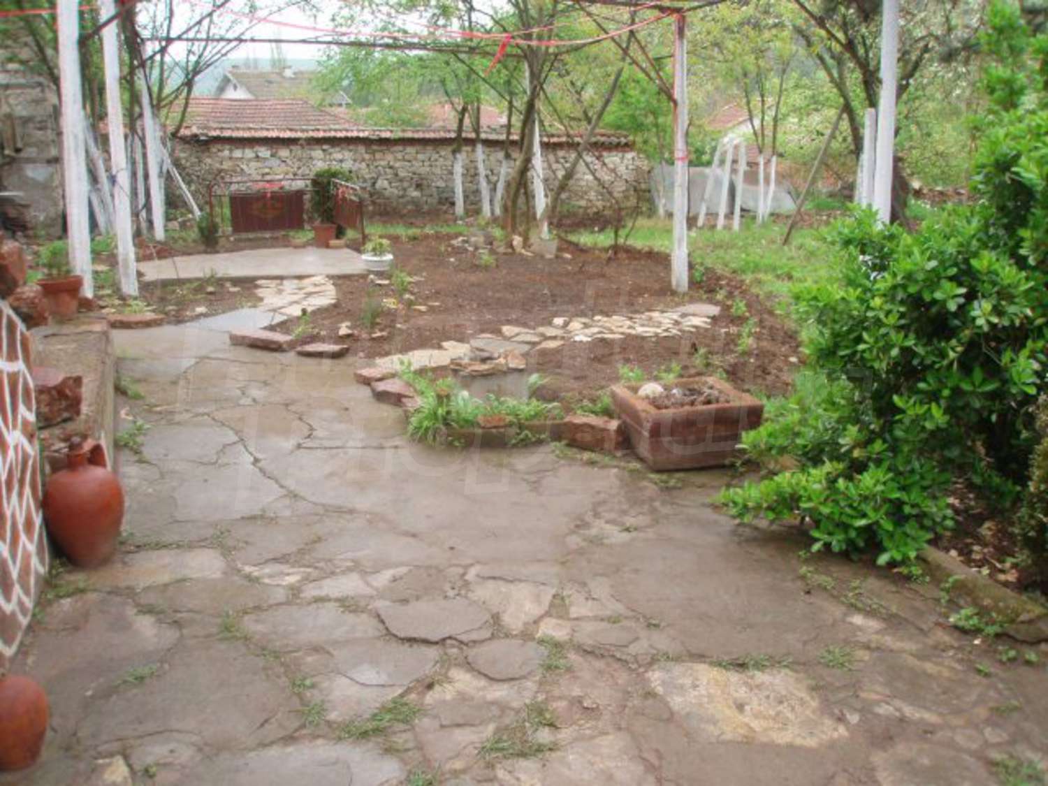 Gallery Picture 20