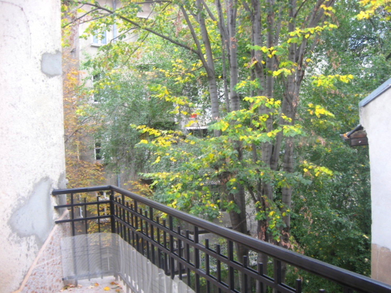 Gallery Picture 4