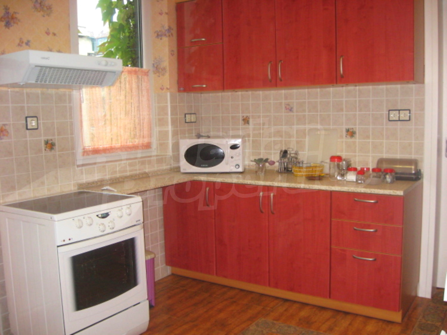Gallery Picture 5
