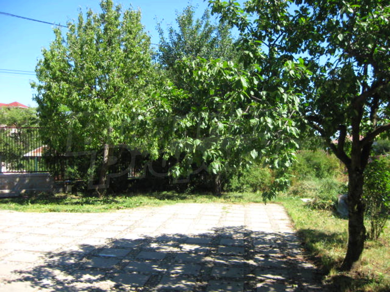 Gallery Picture 13