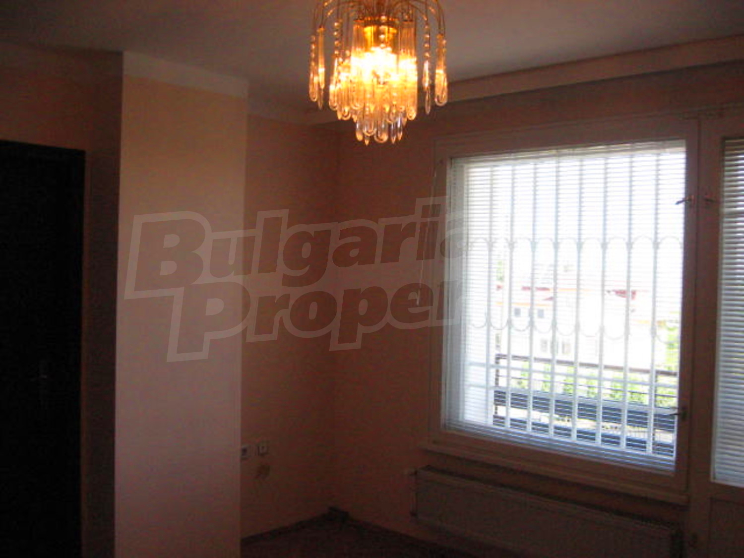 Gallery Picture 19