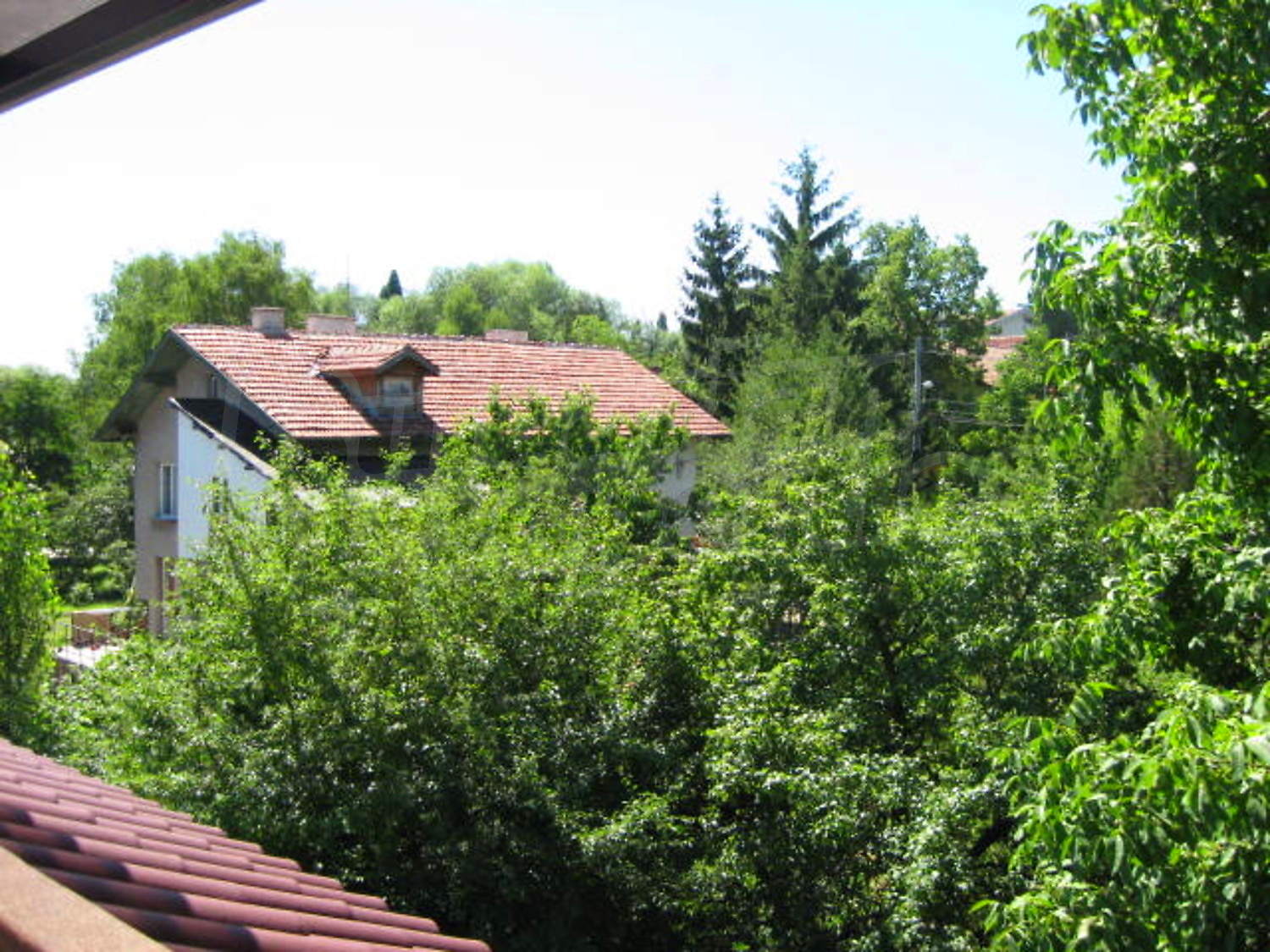 Gallery Picture 28