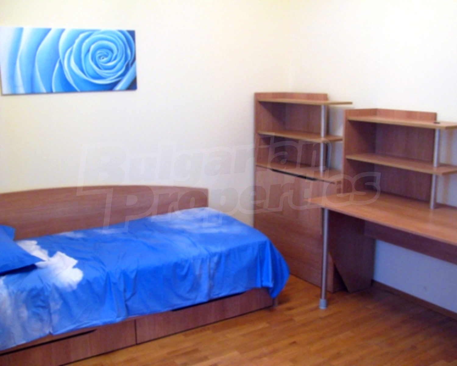 Gallery Picture 5