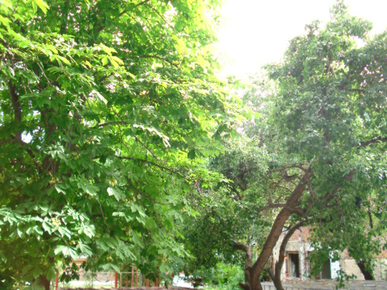 Gallery Picture 11