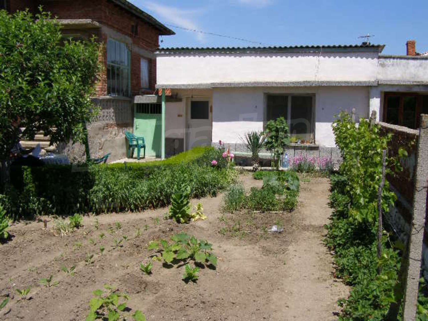 Gallery Picture 15