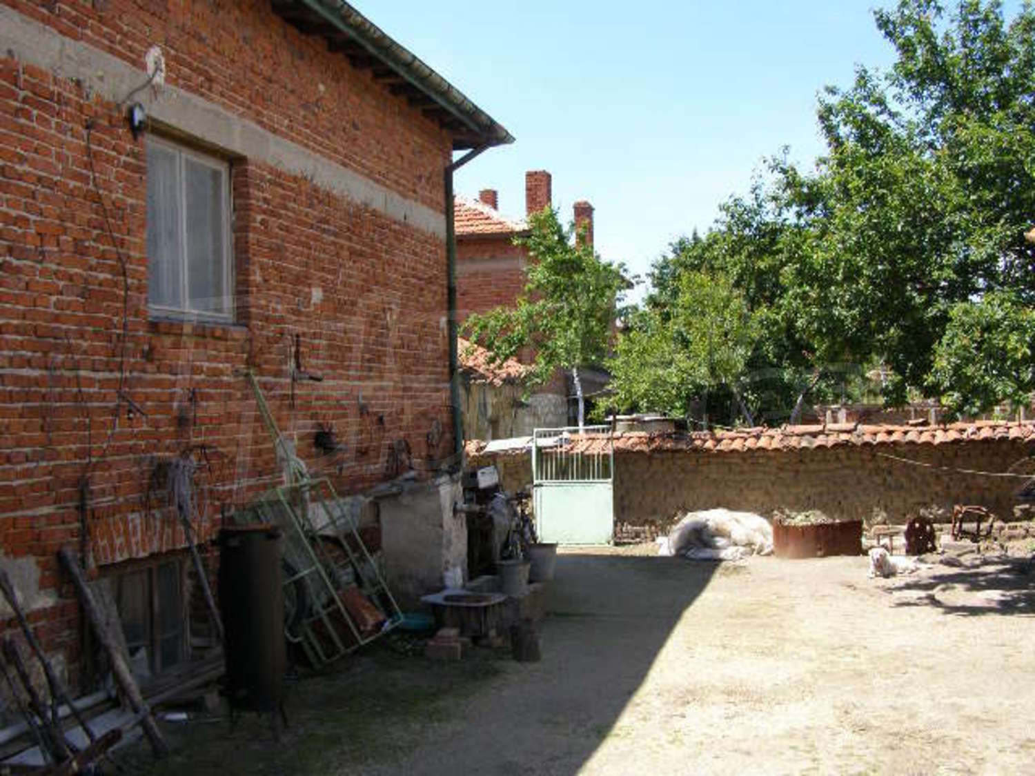 Gallery Picture 17