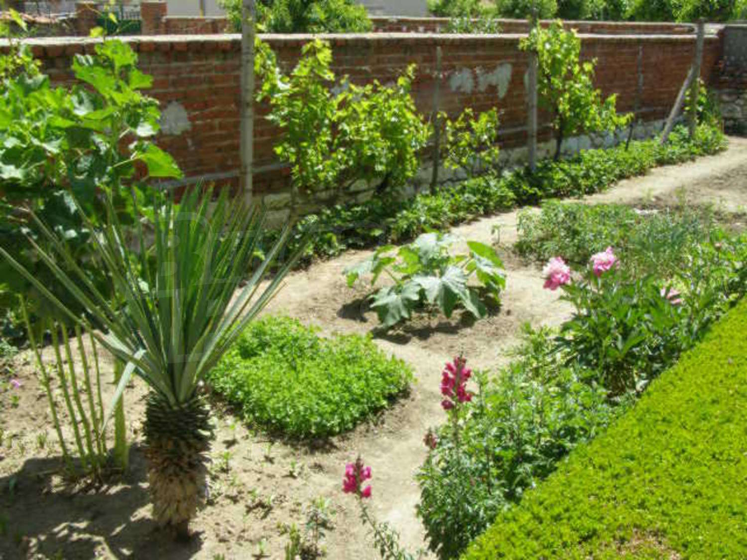 Gallery Picture 23