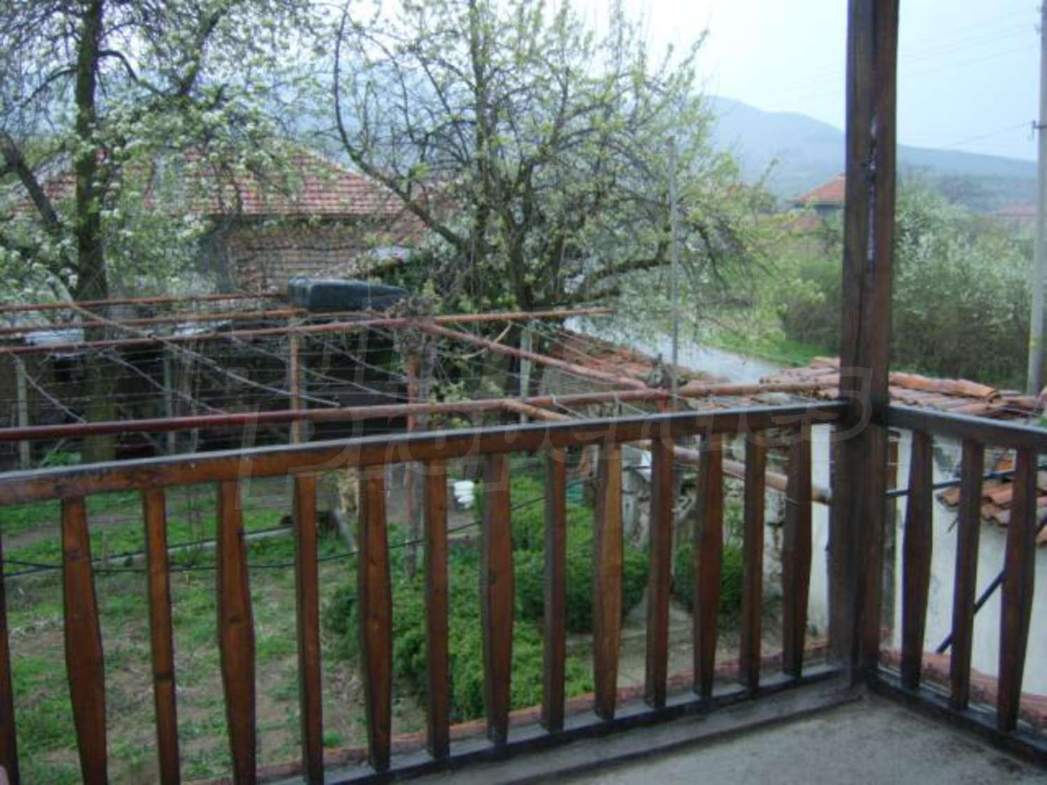 Gallery Picture 18