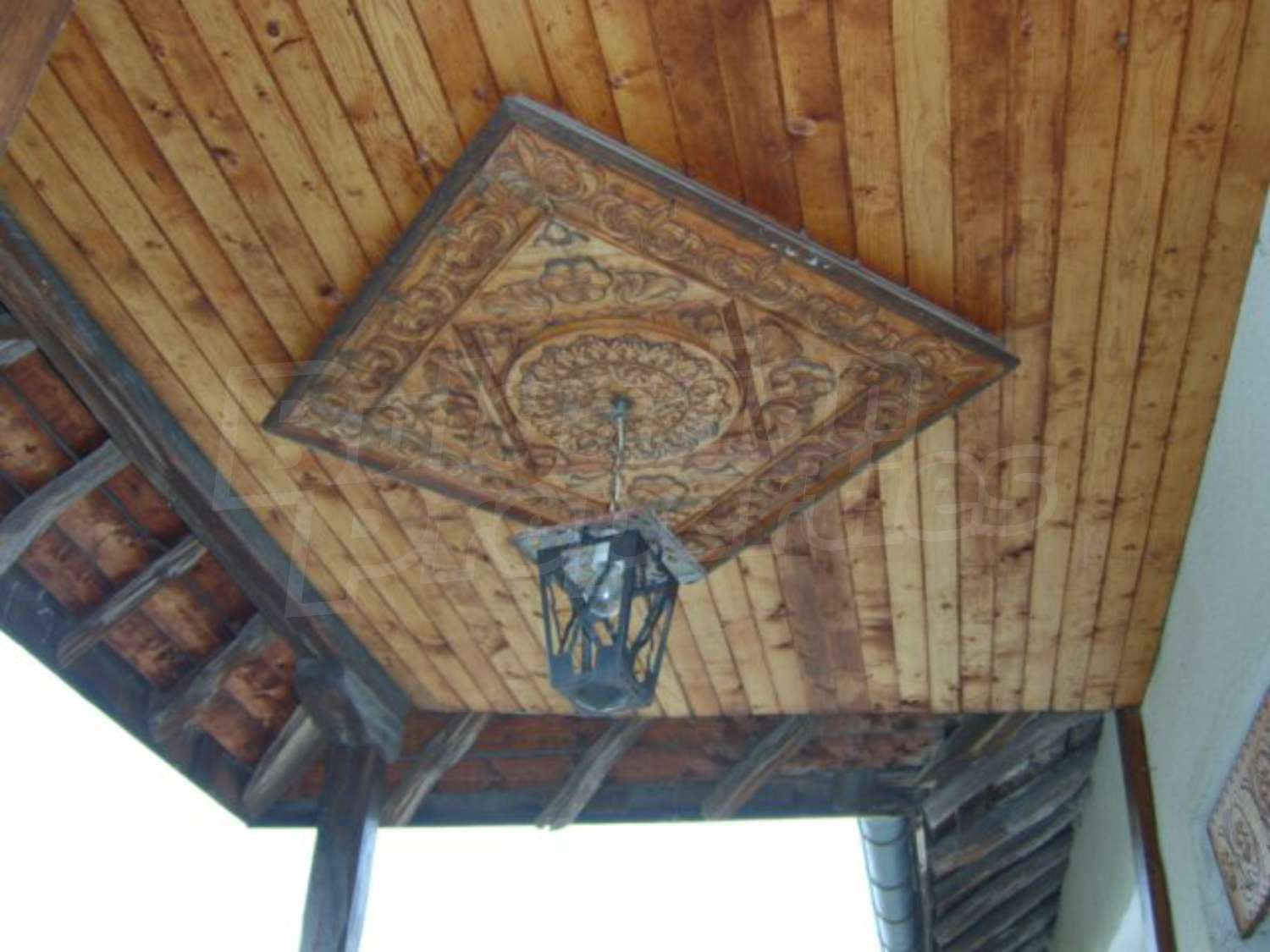 Gallery Picture 19