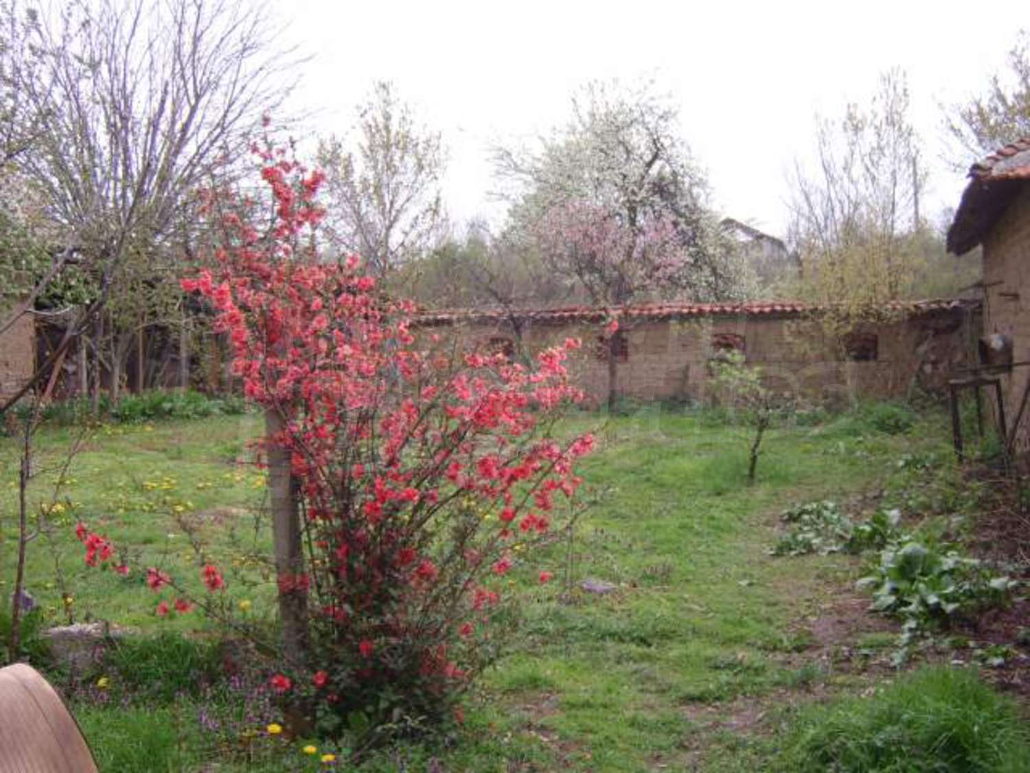 Gallery Picture 28