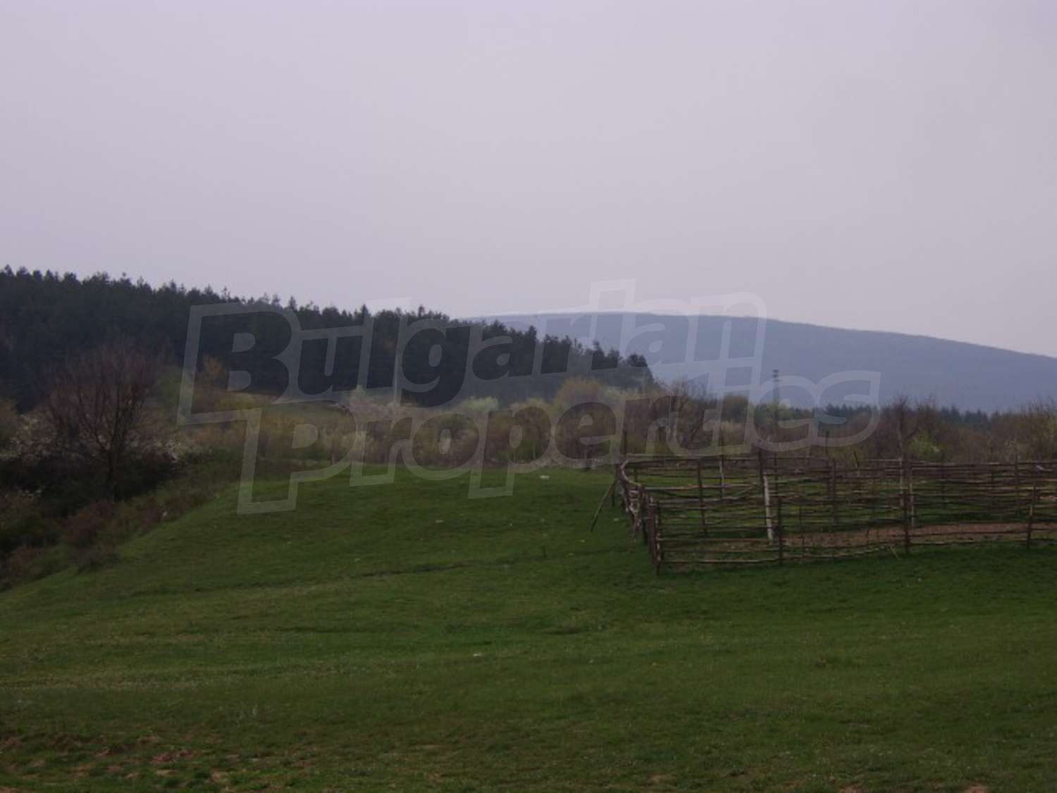 Gallery Picture 31