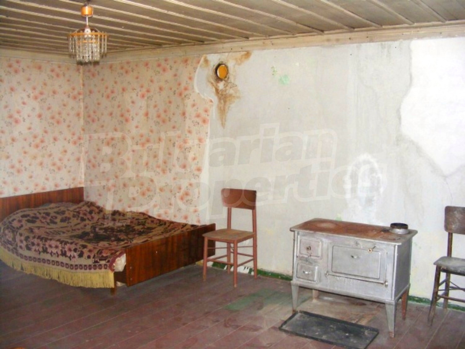 Gallery Picture 11