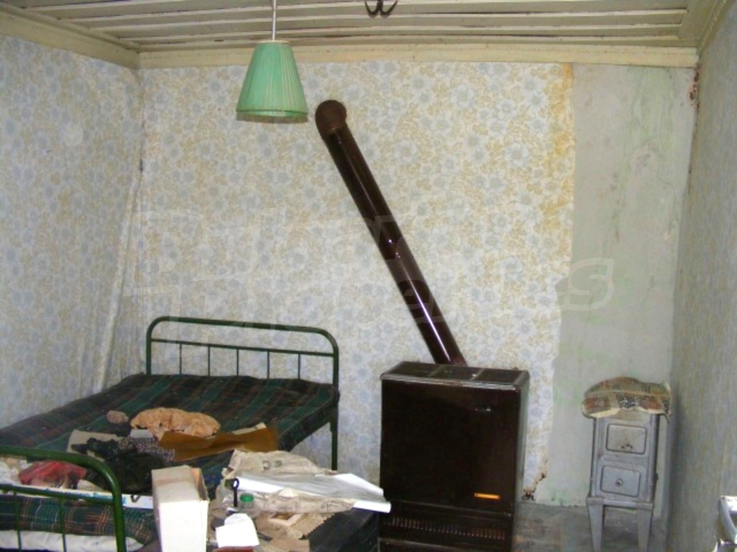 Gallery Picture 12