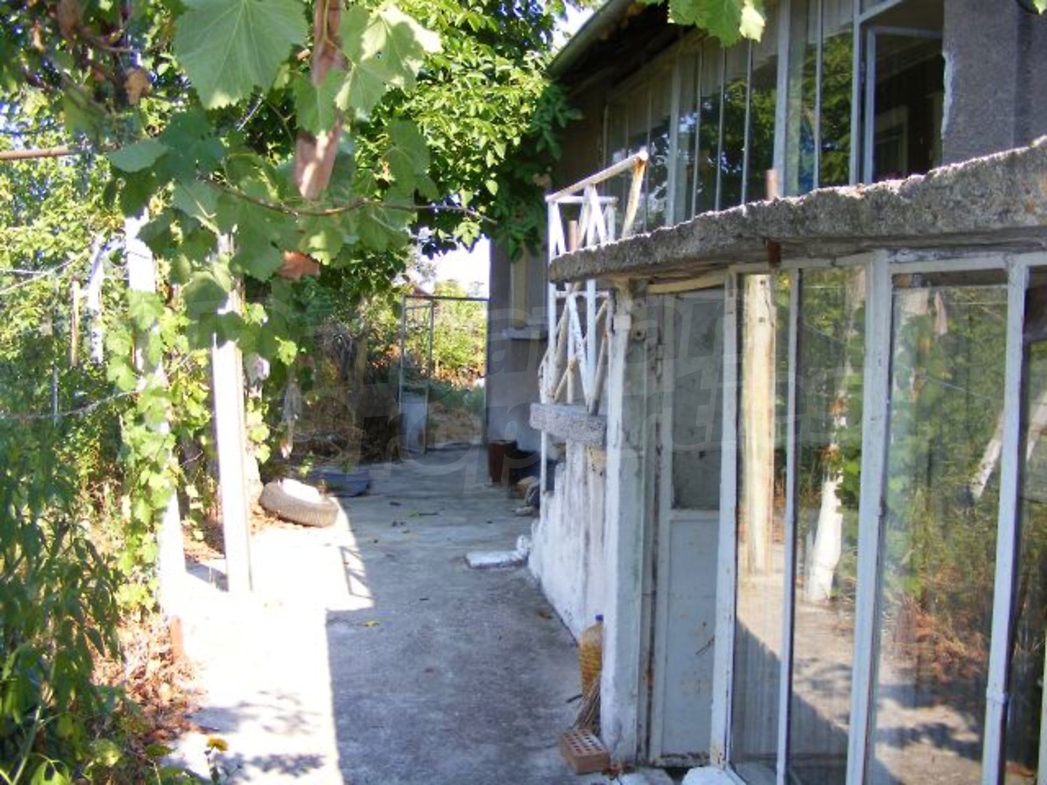 Gallery Picture 19