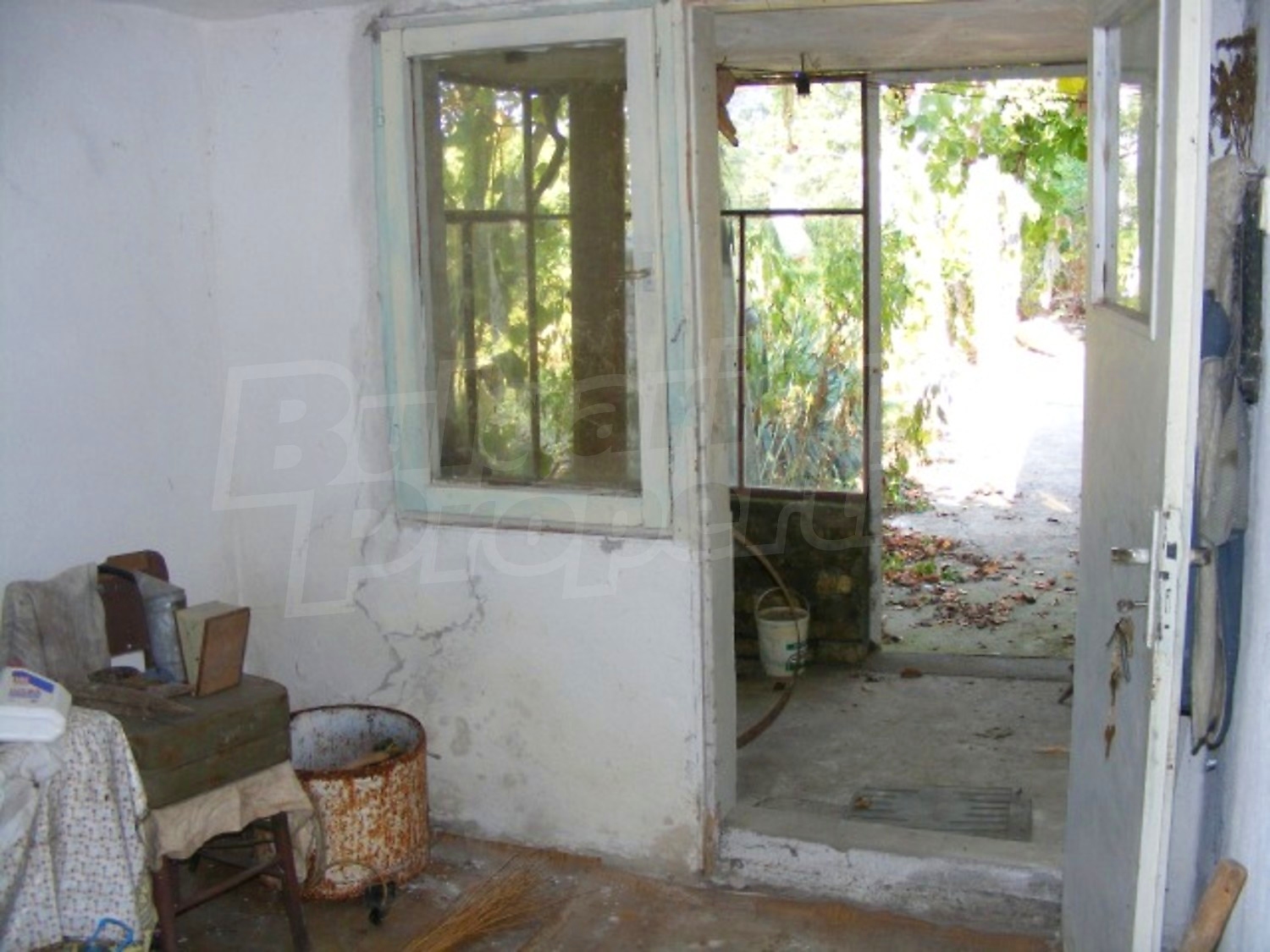 Gallery Picture 22