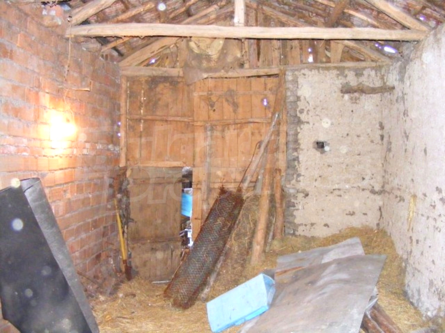 Gallery Picture 25