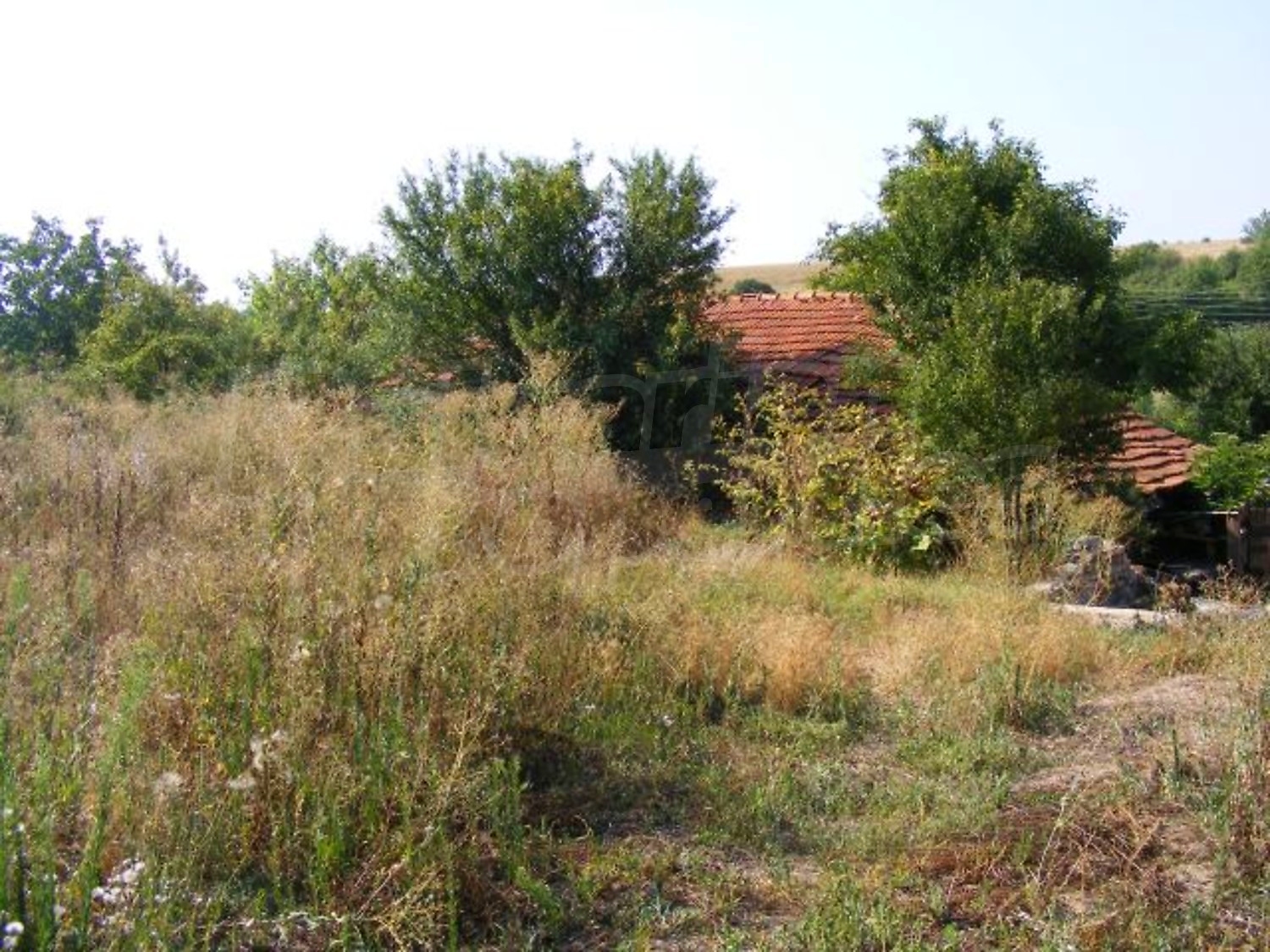 Gallery Picture 30