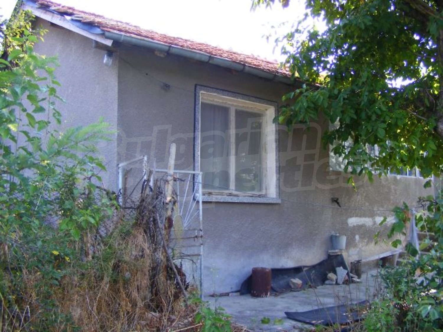 Gallery Picture 4