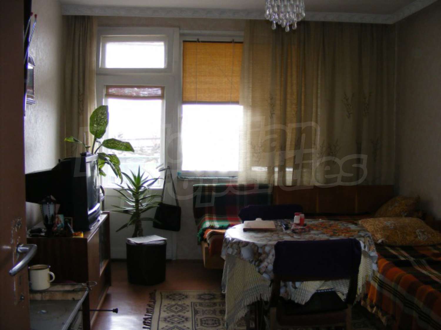 Gallery Picture 11
