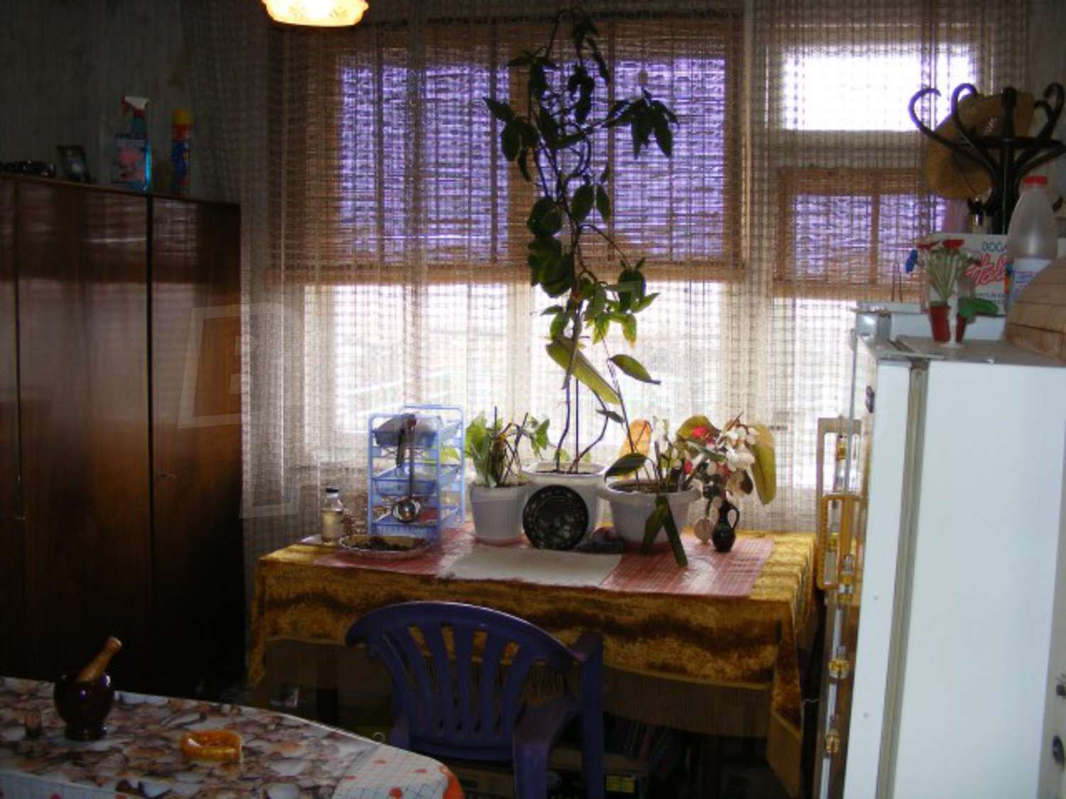 Gallery Picture 13