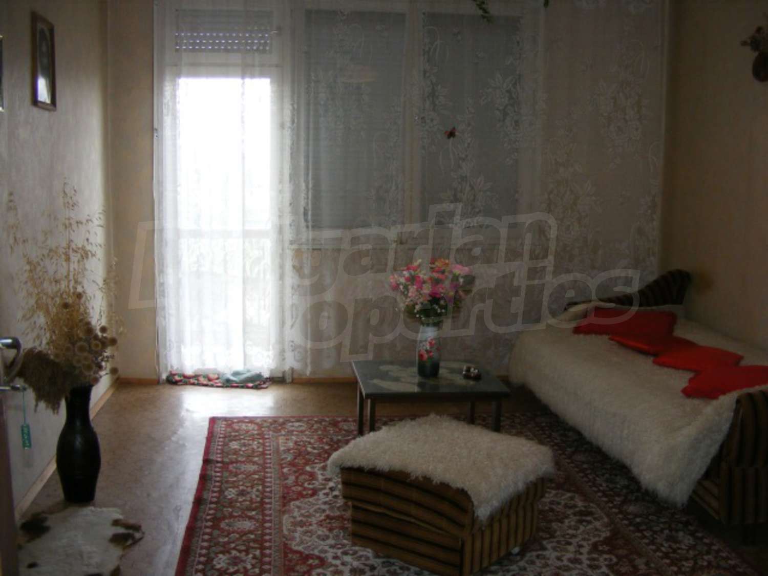 Gallery Picture 17