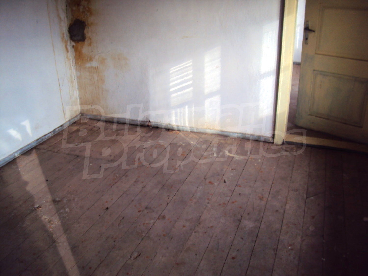 Gallery Picture 10