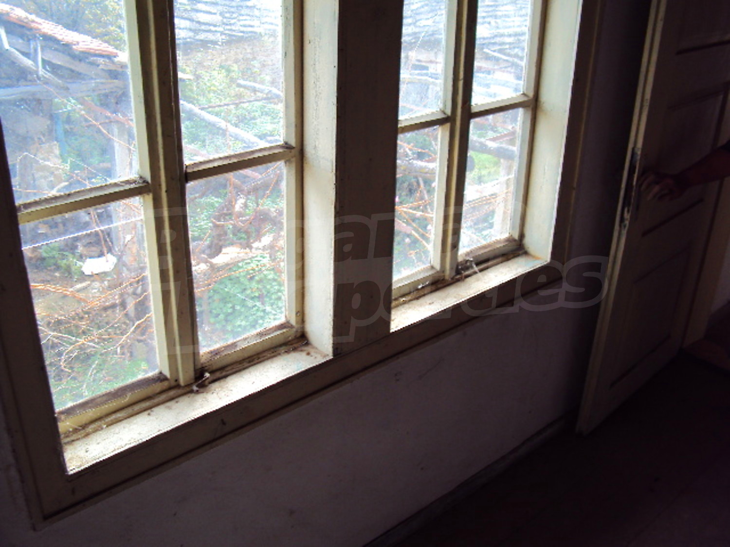 Gallery Picture 11