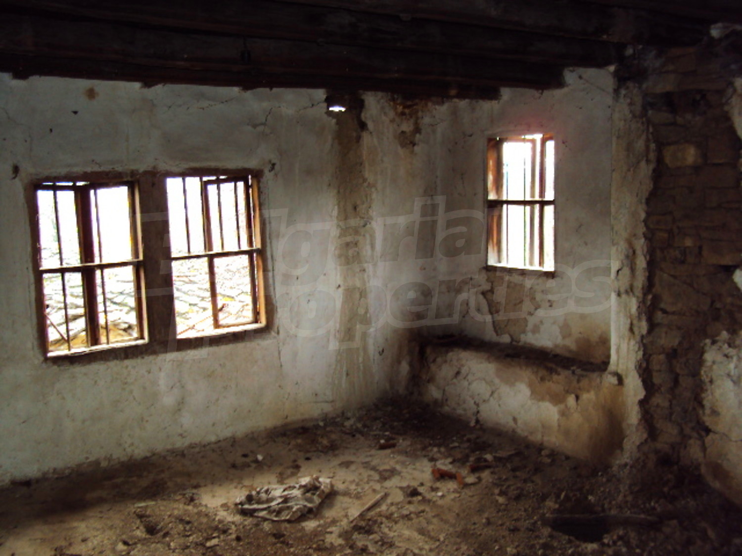 Gallery Picture 13