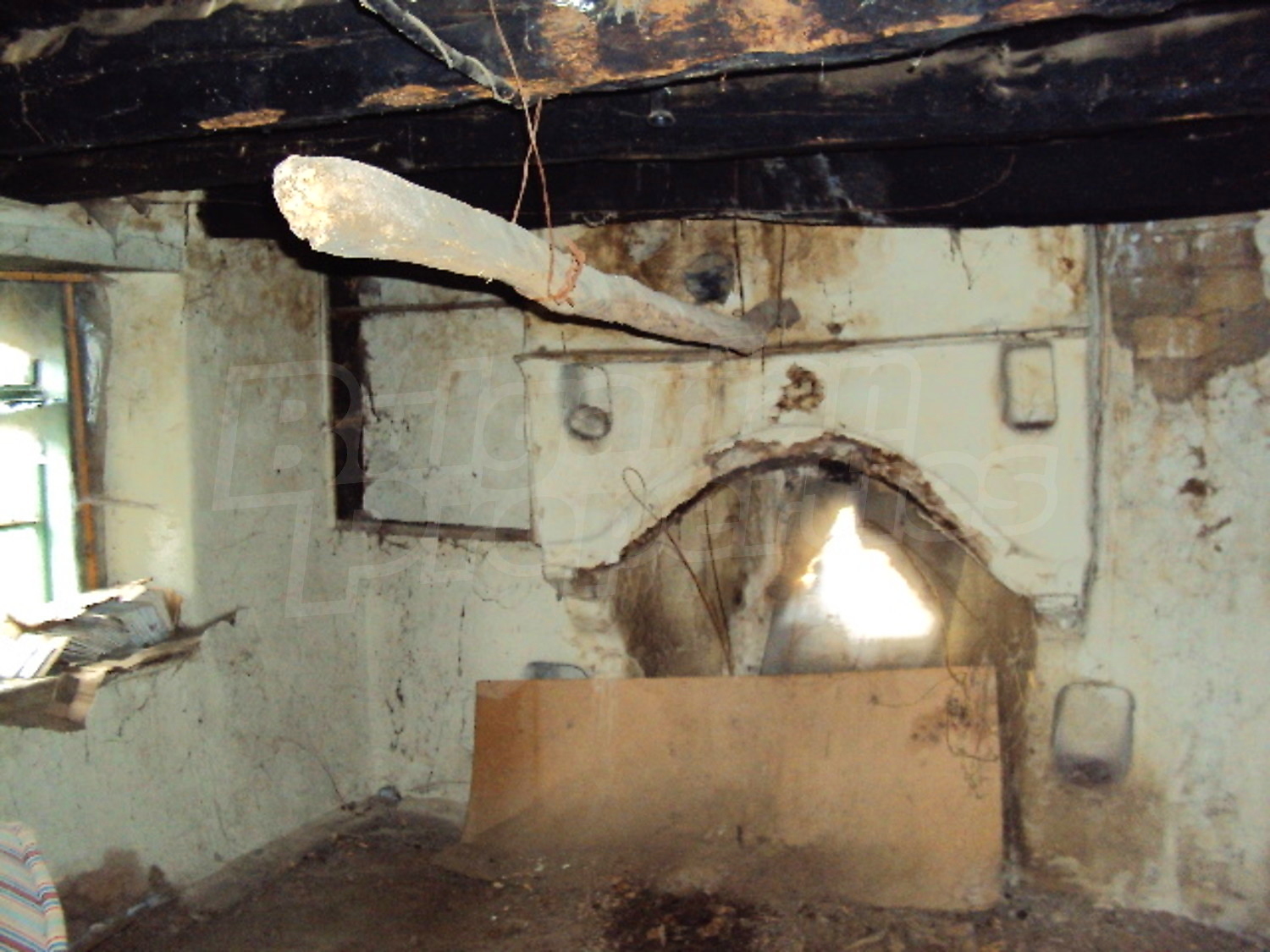 Gallery Picture 14