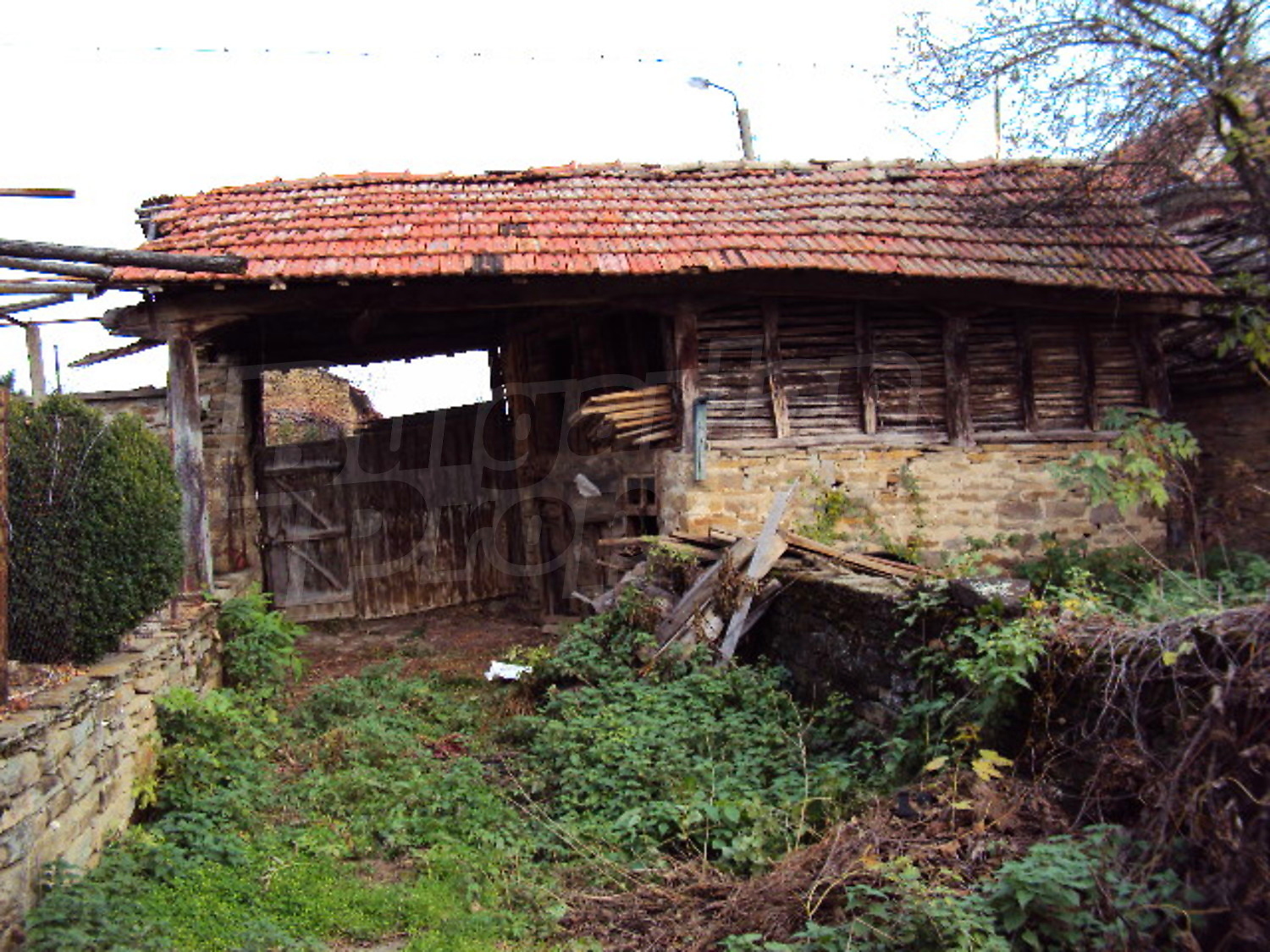 Gallery Picture 15