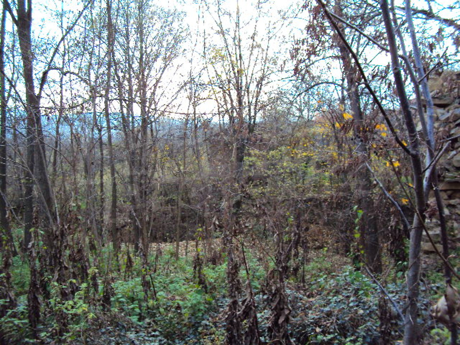 Gallery Picture 18