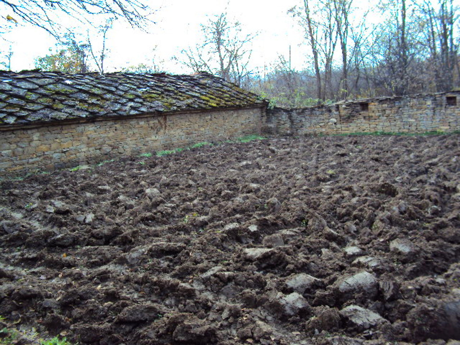 Gallery Picture 19