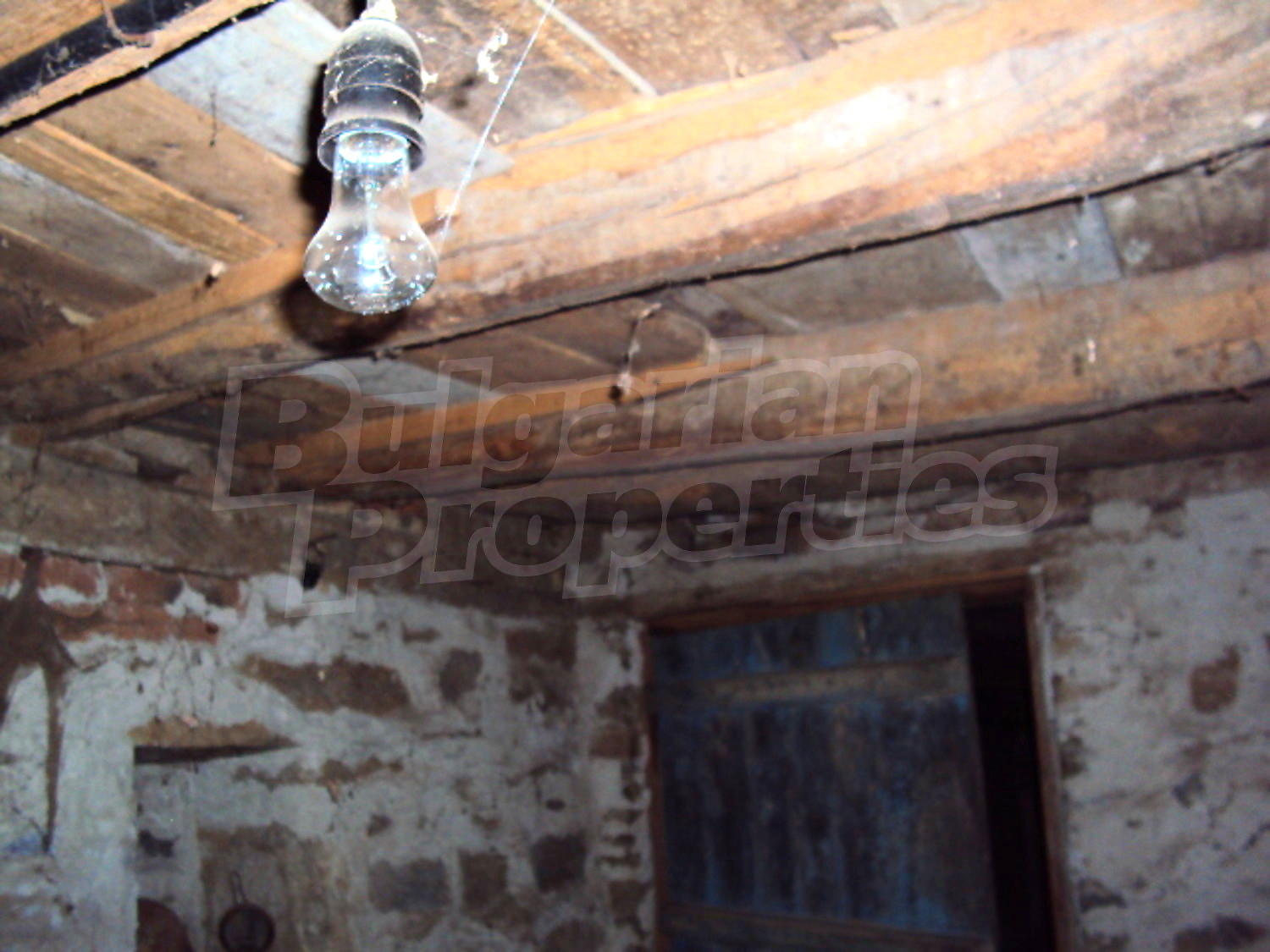 Gallery Picture 6