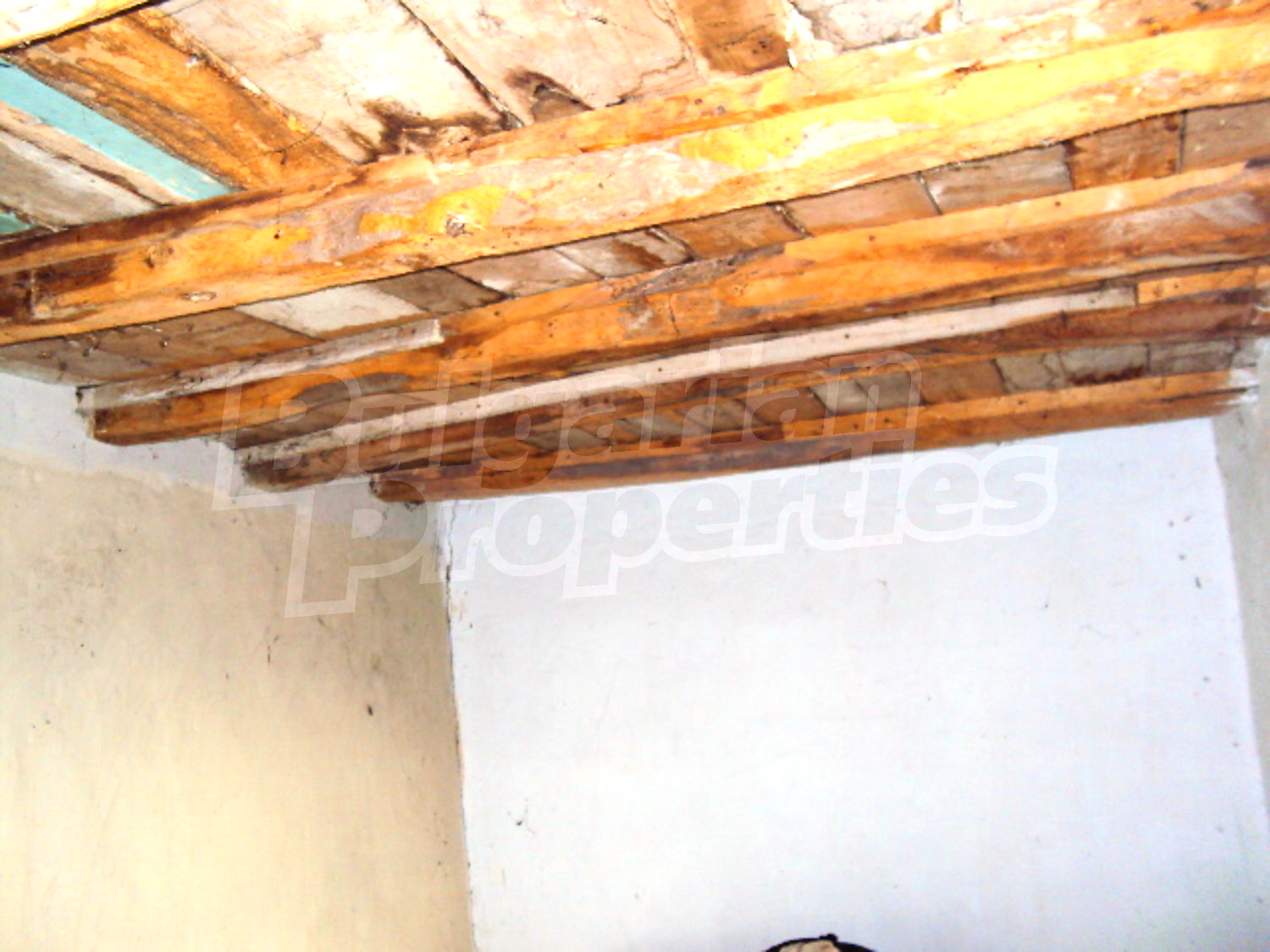Gallery Picture 9