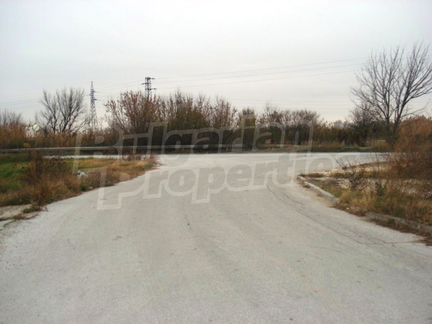 Gallery Picture 10