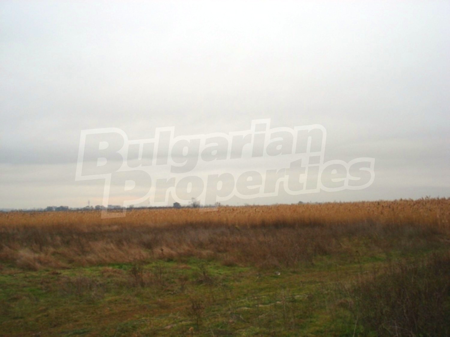 Gallery Picture 2