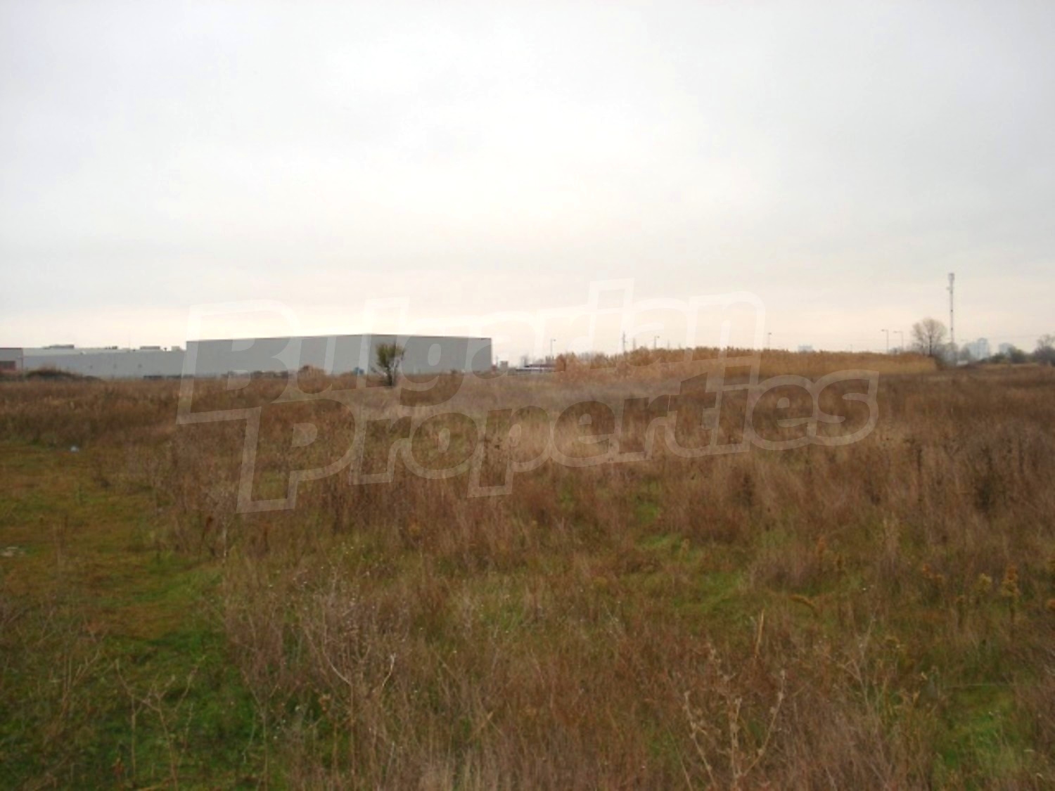 Gallery Picture 5