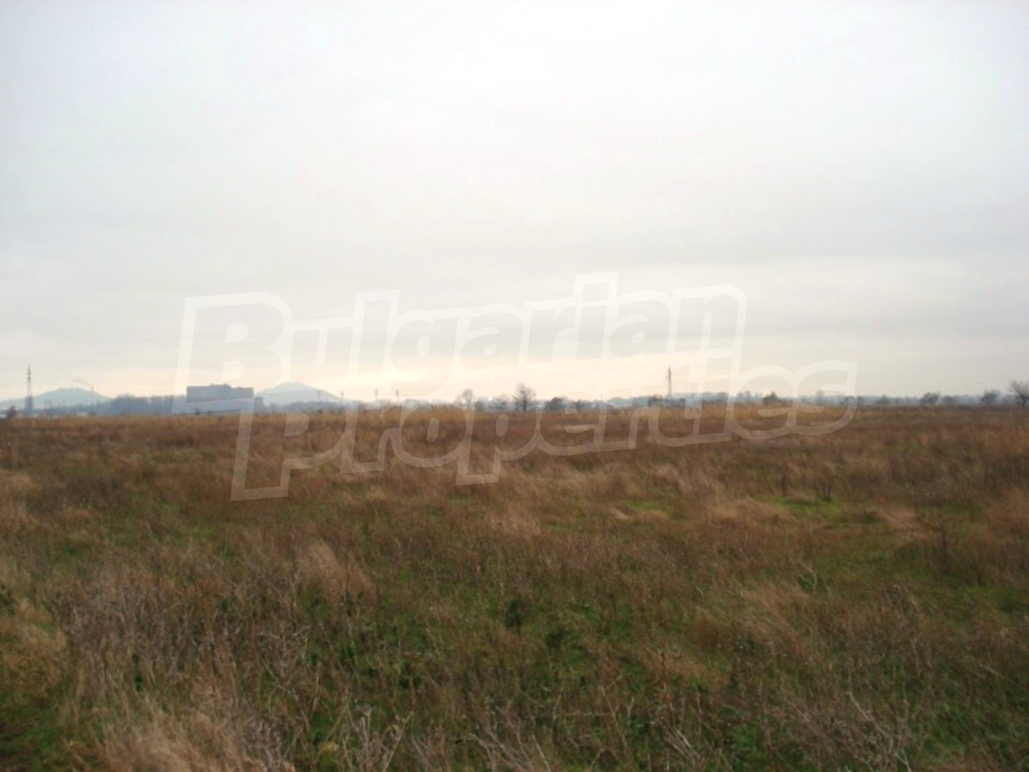 Gallery Picture 7