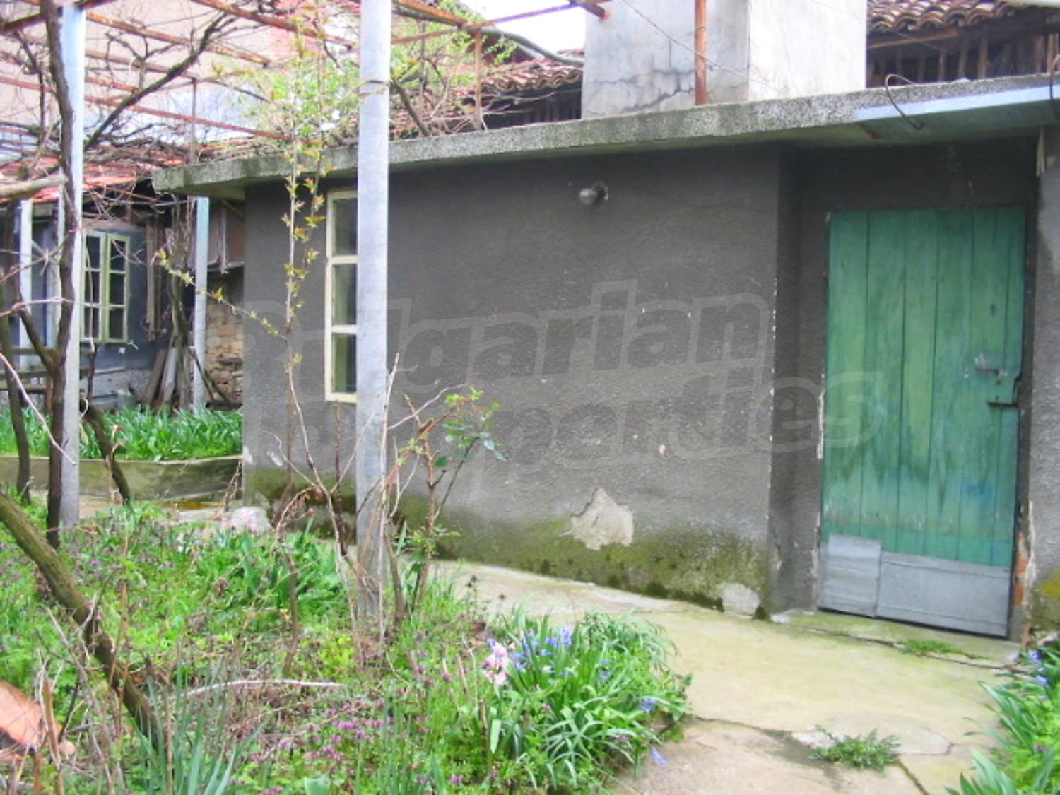 Gallery Picture 16