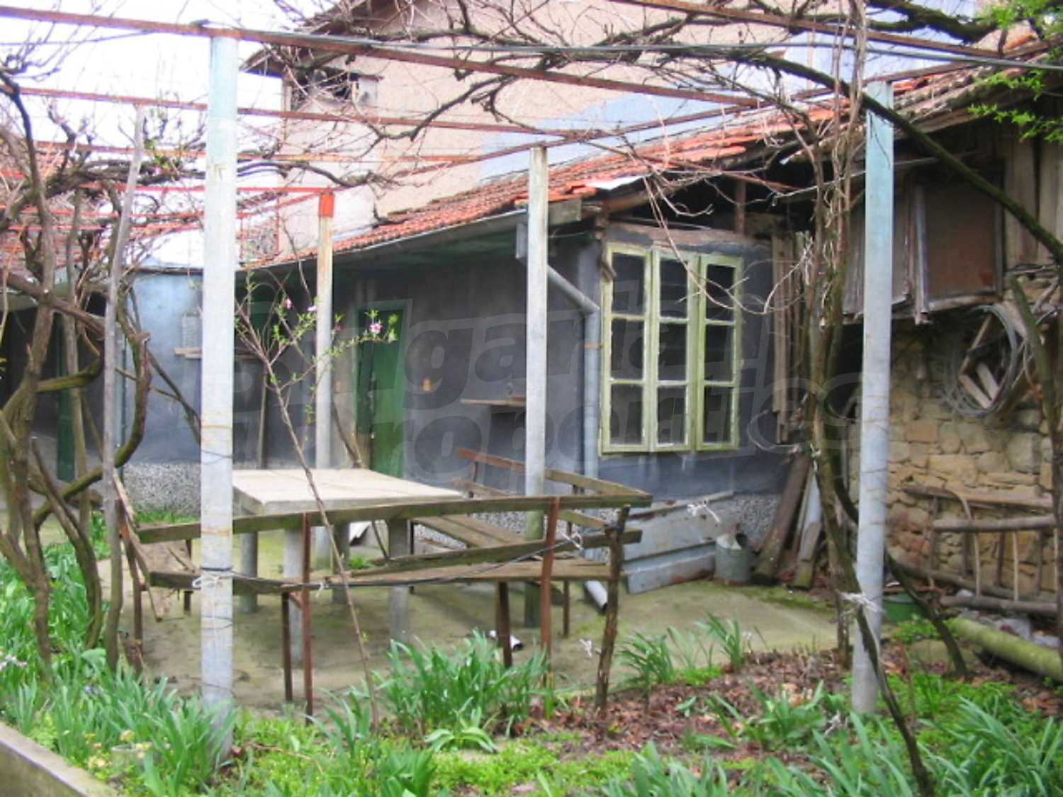 Gallery Picture 5