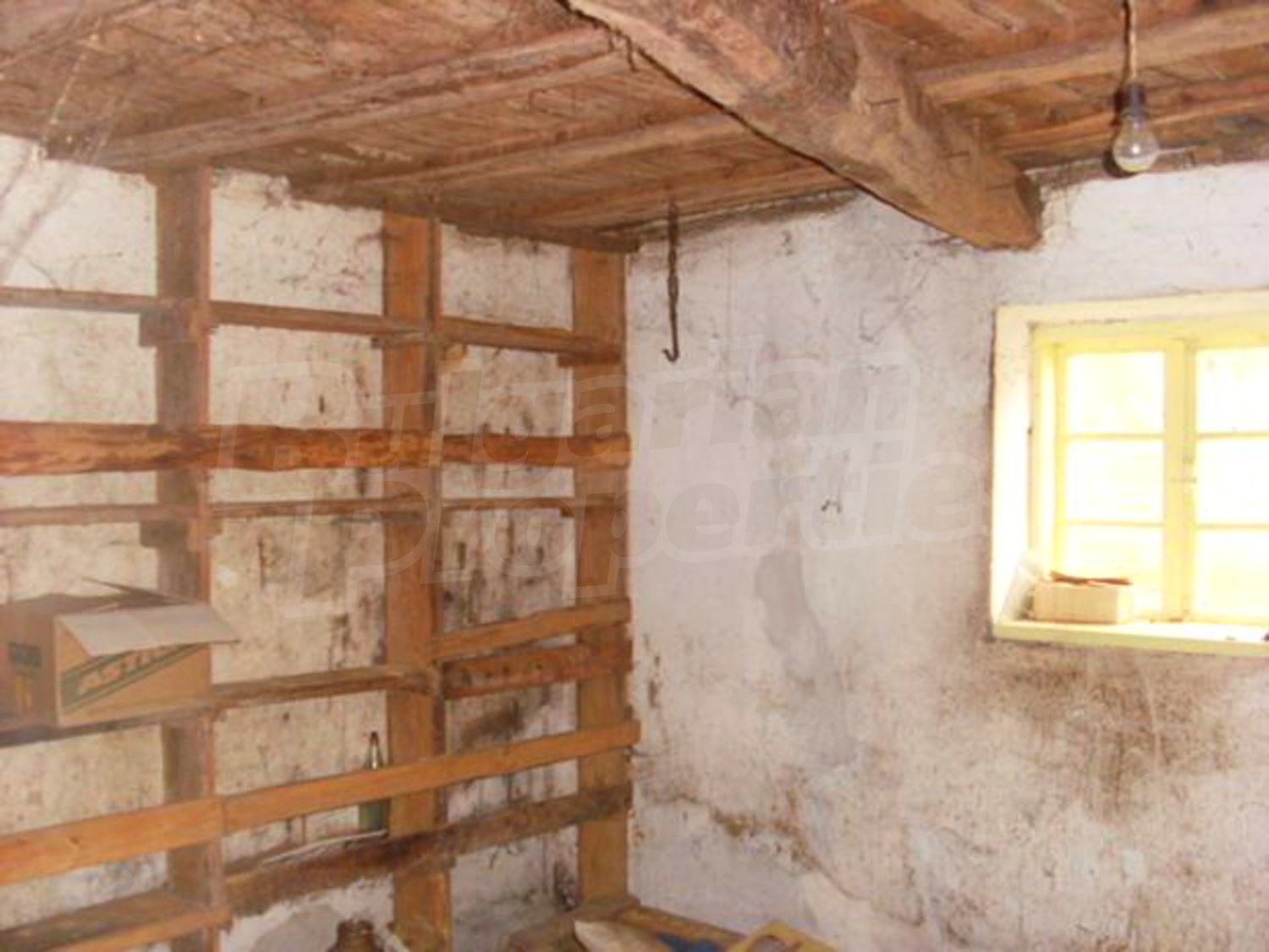 Gallery Picture 12