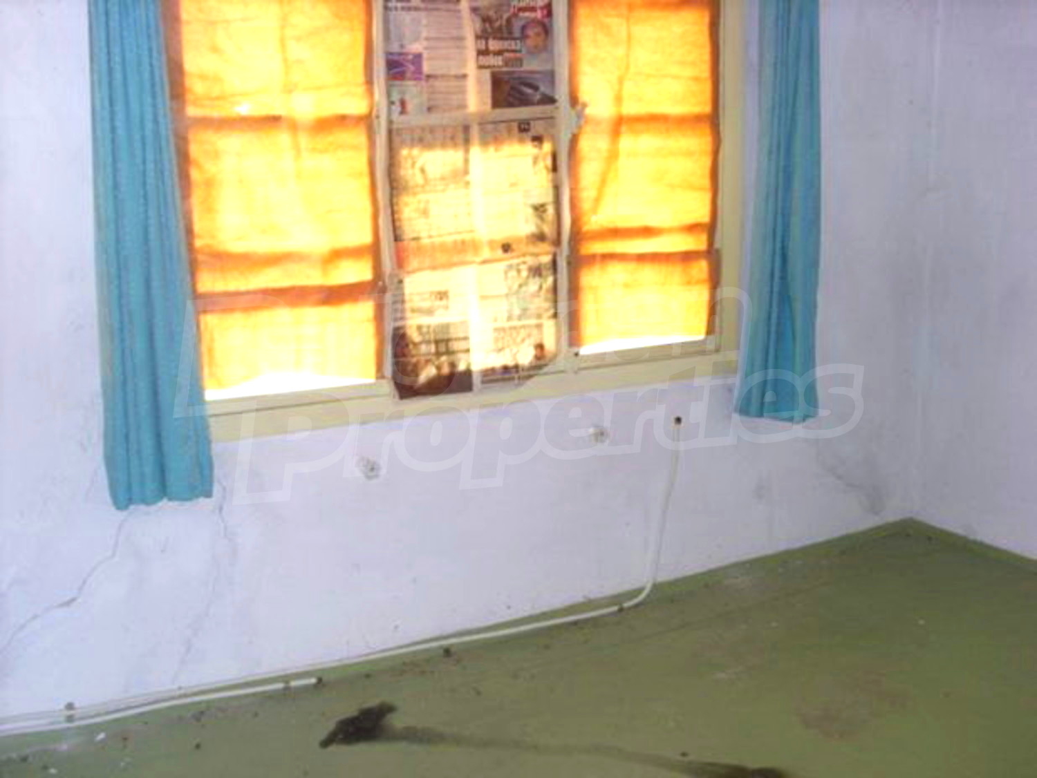 Gallery Picture 15