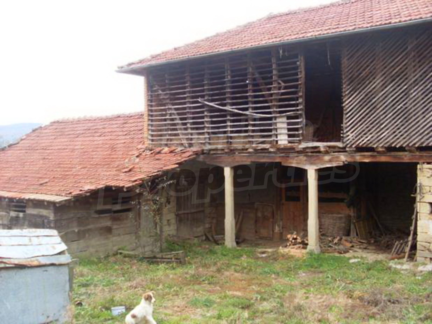 Gallery Picture 5