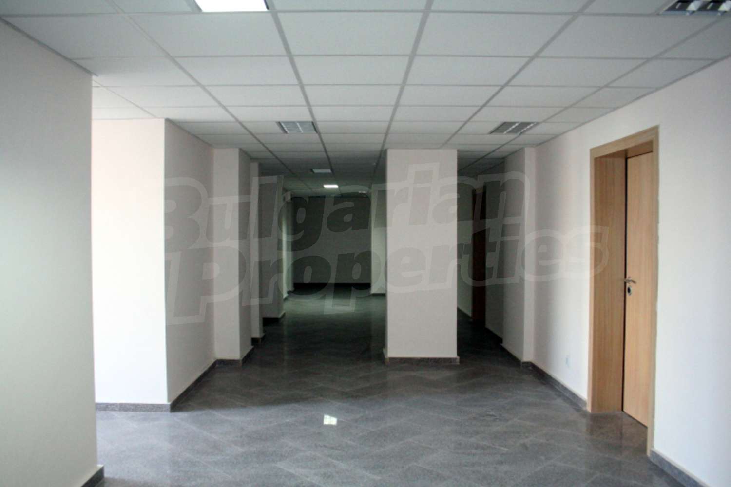Gallery Picture 14