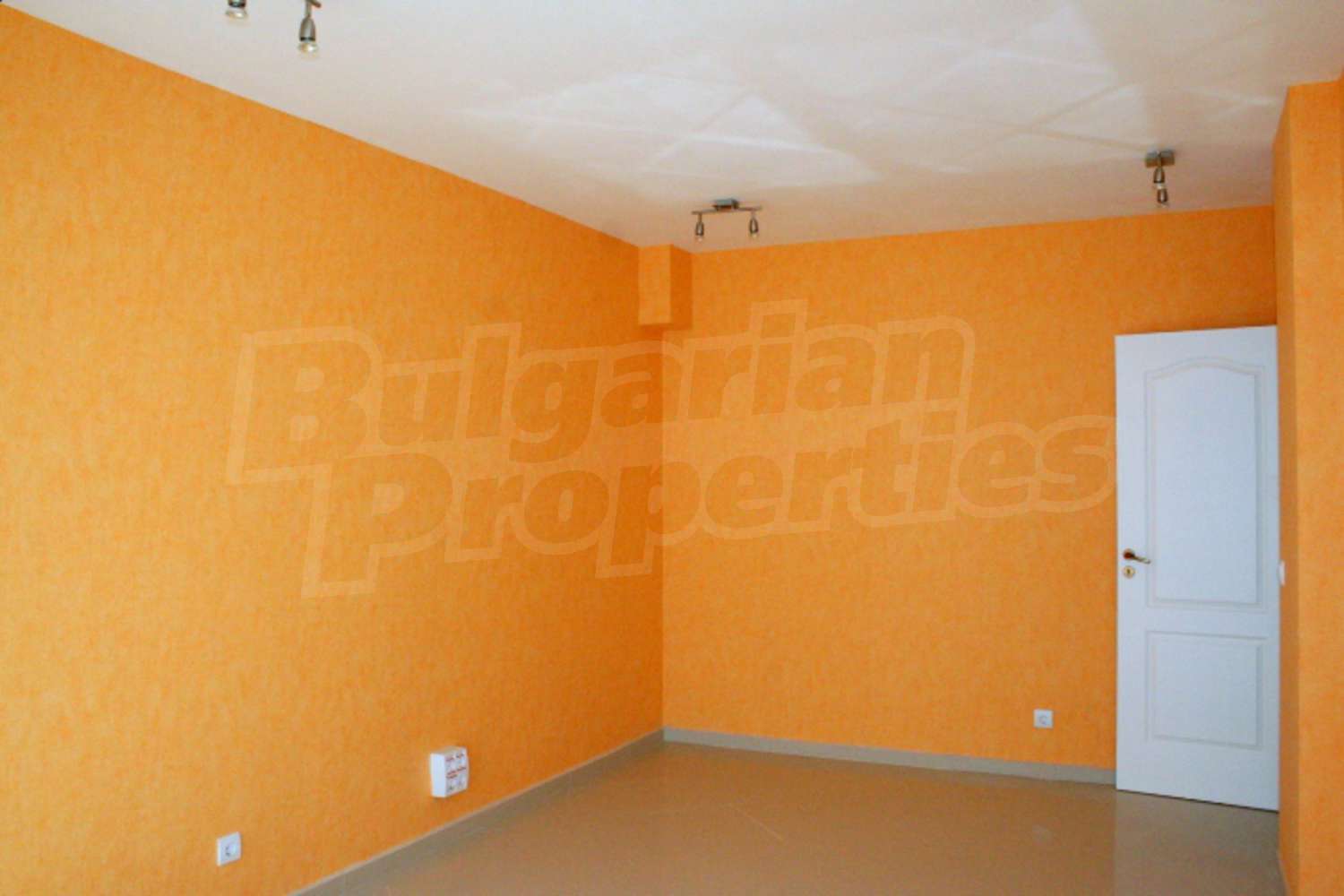 Gallery Picture 4