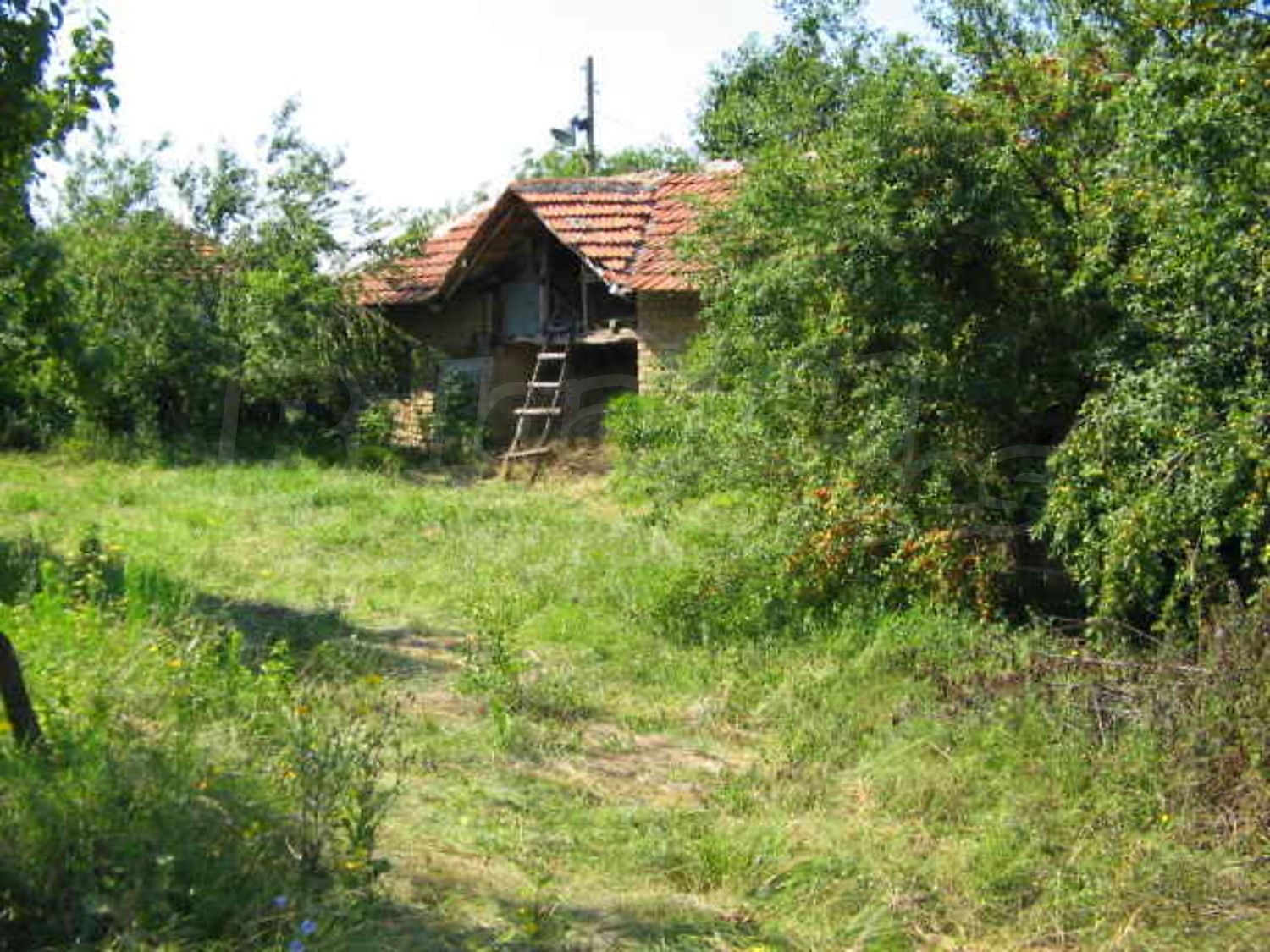 Gallery Picture 10