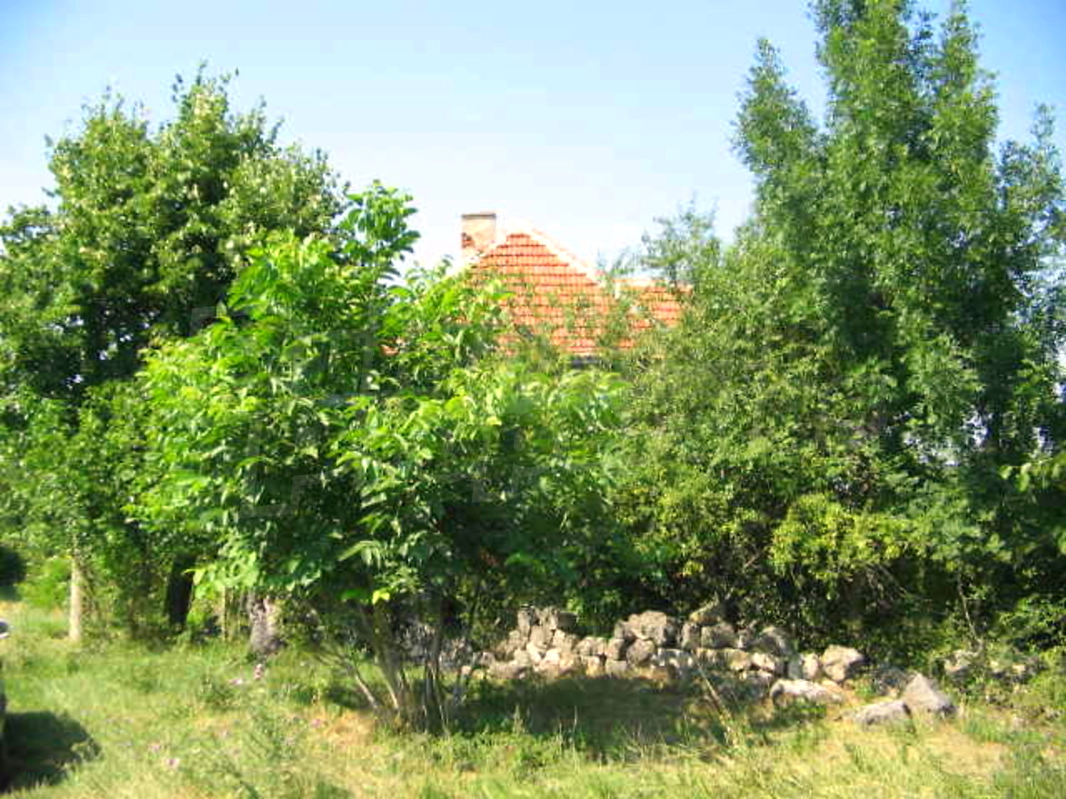 Gallery Picture 11