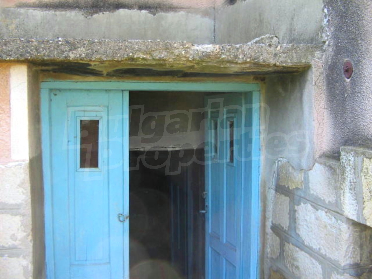 Gallery Picture 7