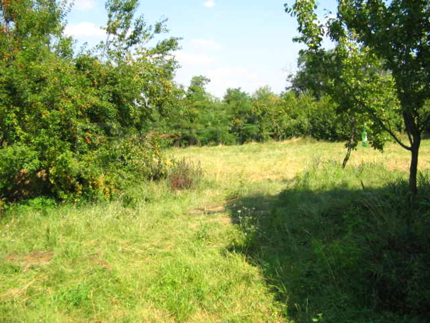 Gallery Picture 9