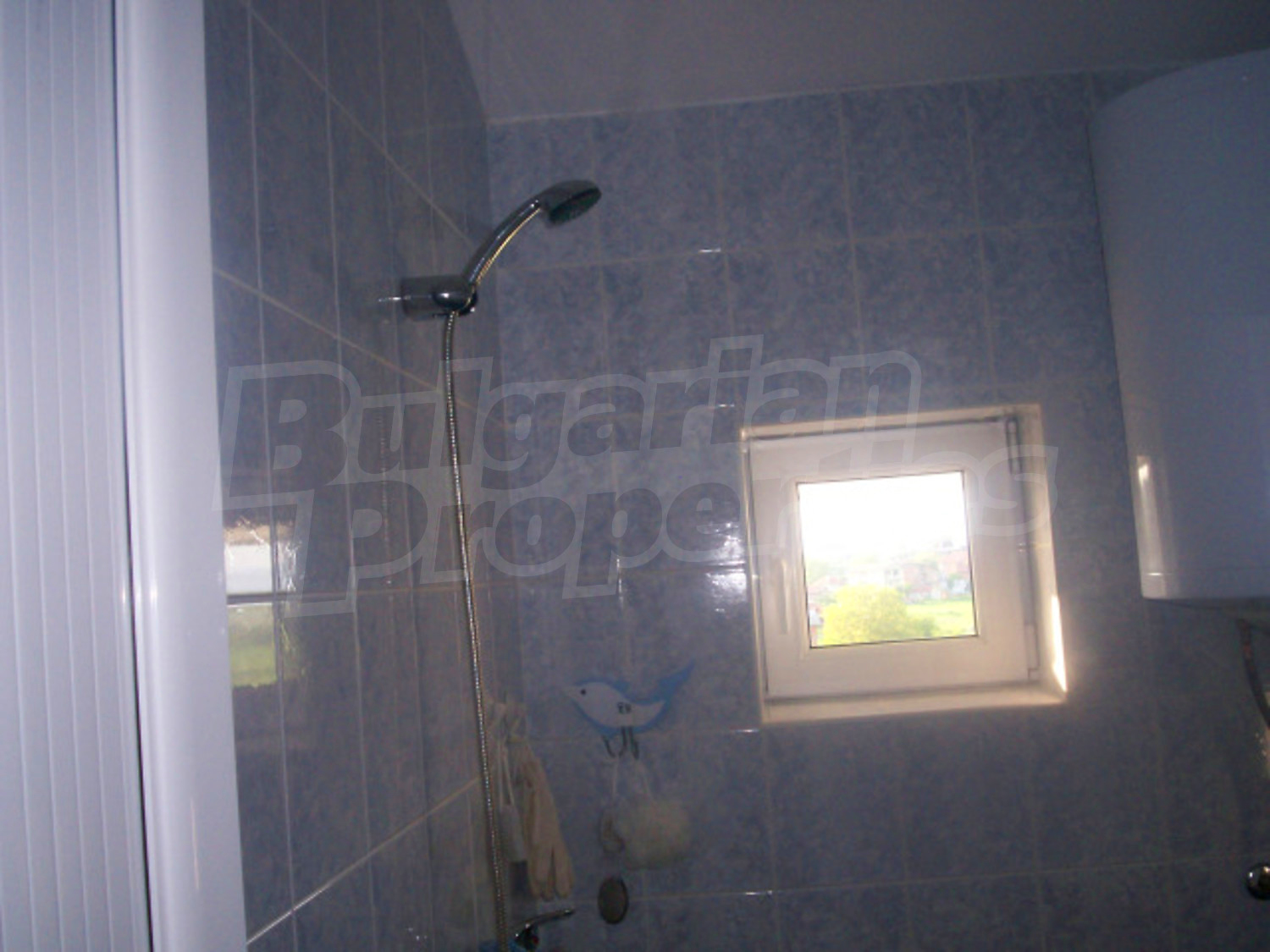 Gallery Picture 9